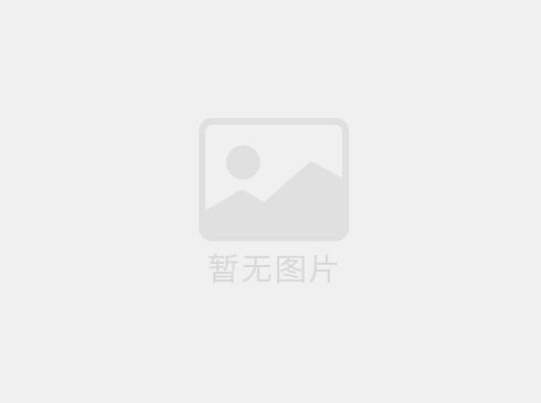 冲床九幺看片网站的标准型特点有哪些？
